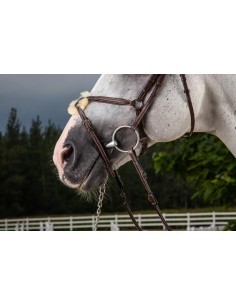 Muserolle Croisée DY'ON 2