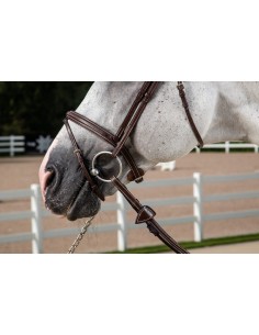 Muserolle Combinée DY'ON 2