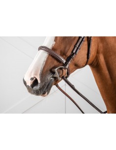 Muserolle Française DY'ON