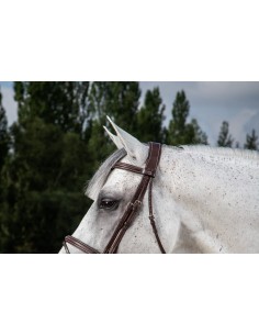 Tétière à 3 Branches Avec...