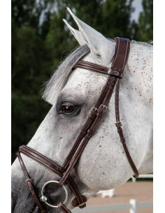 Montants De Mors DY'ON 2