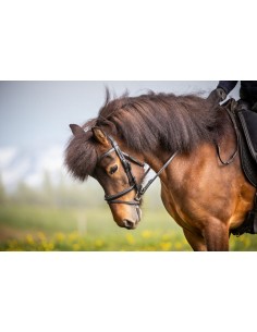 Rênes Tissus 1/2 DY'ON 2