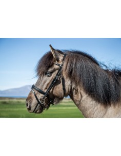 Montants De Mors DY'ON 2