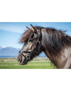 Montants Pour Tétière 1...