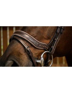 Bridon Working Fit DY'ON