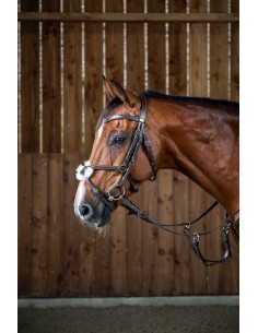 Bridon Muserolle Croisée DY'ON 2