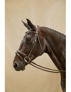 Bridon Muserolle Combinée...