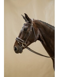 Bridon Muserolle Combinée...