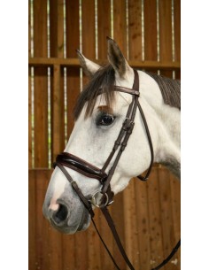 Bridon Muserolle Combinée...