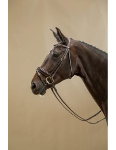 Bridon Muserolle Combinée... 2