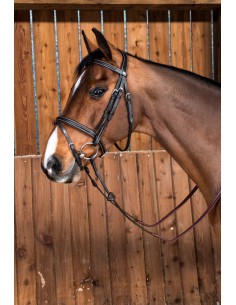 Bridon Muserolle Combinée... 2