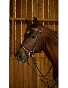 Bridon Muserolle Combinée...