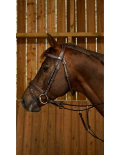 Bridon Muserolle Combinée... 2