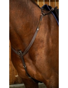 Collier De Chasse à Pont DY'ON 2