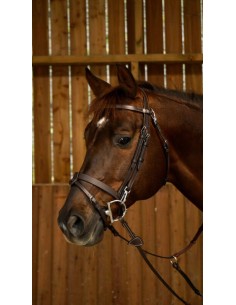 Bridon Cuir Plat Avec...
