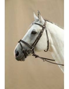 Bridon Cuir Plat Avec... 2