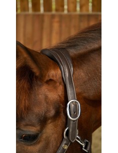 Licol Cuir Extra Souple DY'ON