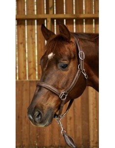 Licol Cuir Extra Souple DY'ON 2