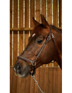 Licol De Pansage DY'ON