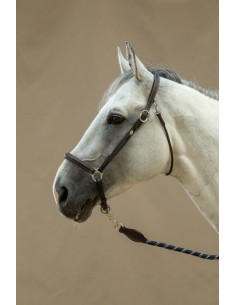 Licol De Pansage DY'ON 2