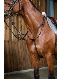 Martingale A Anneaux DY'ON 2