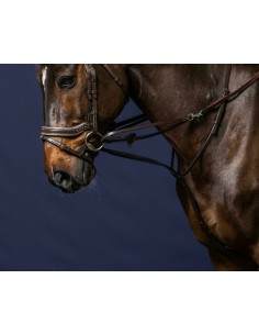 Enrênement Howlett DY'ON 2