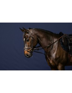 Rênes Howlett Caoutchouc...