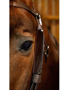 Montants "Focus" DY'ON 2