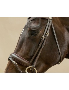 Montants De Mors Dressage... 2