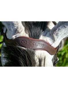 Bridon Sans Mors DY'ON