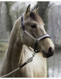 Licol De Transport DY'ON 2