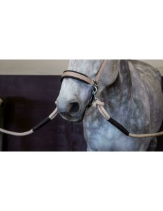 Longe Avec Mousqueton... 2