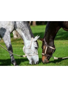 Longe Educative 3,7 M DY'ON