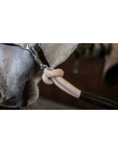 Longe Educative 3,7 M DY'ON 2