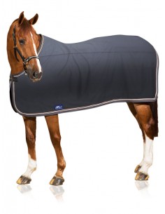 Chemise Neal Scarpati...