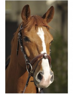 Bridon Point Sellier -... 2