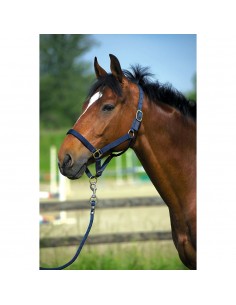 Licol Norton nylon doublé cuir