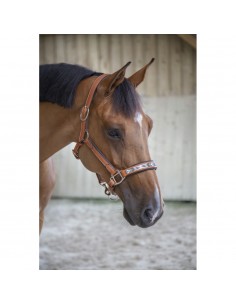 Licol Pénélope Pearl