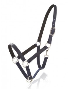 Licol Uras Scarpati 2