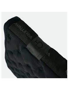 Tapis de selle Embrodery... 2