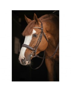 Bridon Daily Strass - Havane