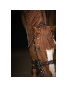Bridon Daily Strass - Havane 2